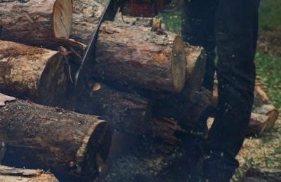 husqvarna 455 chainsaw manual