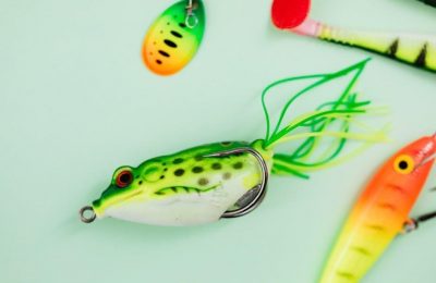 saltwater fishing guide