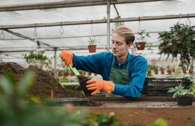jiffy seed starting greenhouse kit instructions