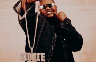 casio fx-83gt cw manual